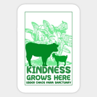 Kindness Grows Here Sticker